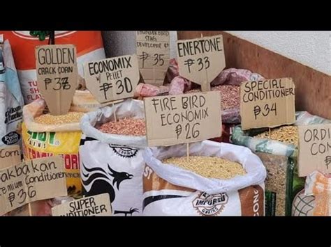 naglulugon na manok|MAGANDANG PATUKA PARA SA NAGLULUGON NA MANOK.